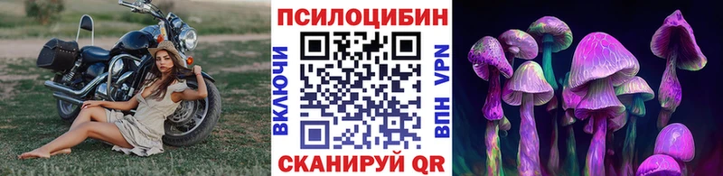Галлюциногенные грибы прущие грибы  hydra   Полтавская 